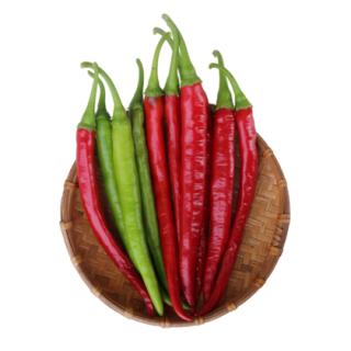 KYI-146 Hot Pepper From Known You Seed (India)-KYI